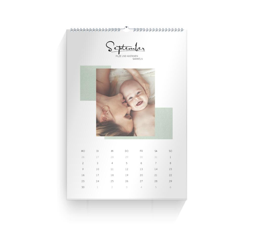 Product preview