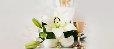 Category background image for Danksagung Kommunion