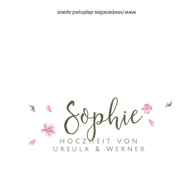 Product preview
