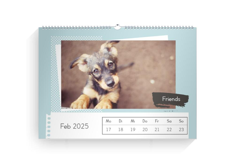 Product preview