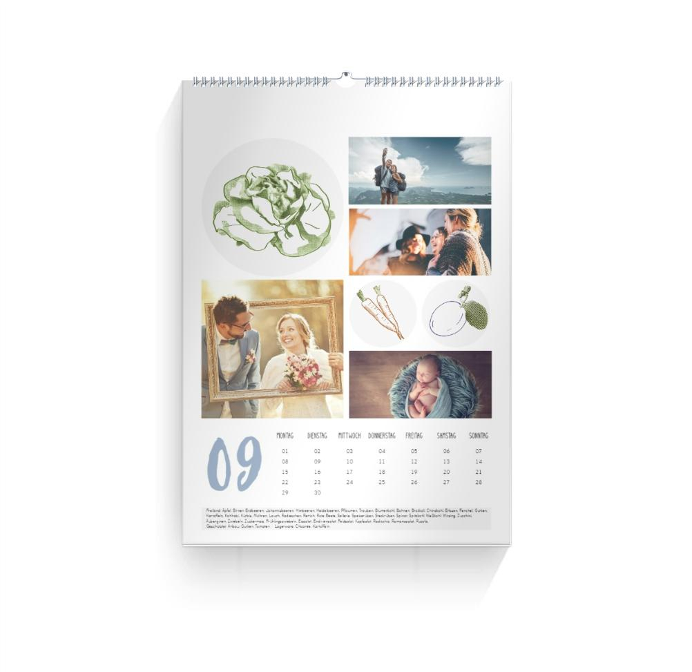 Product preview
