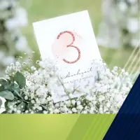 Category background image for Tischnummern Hochzeit