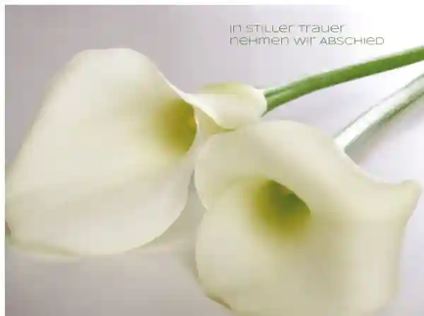 Trauerkarte Calla hoch