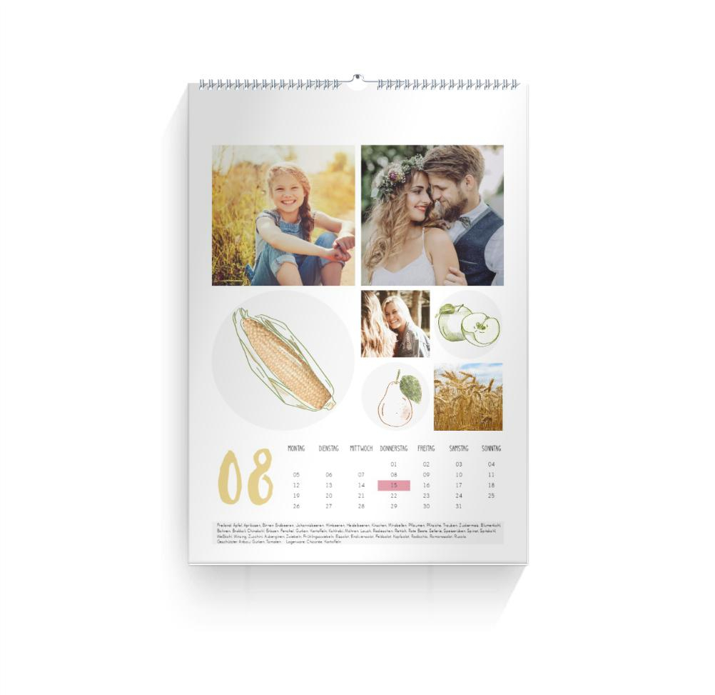 Product preview