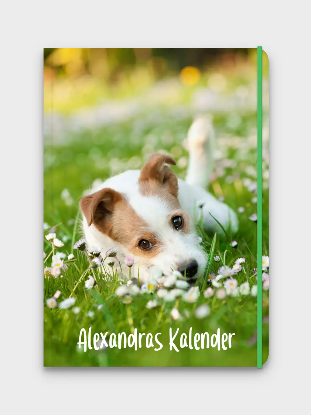 Lehrerkalender Softcover Lehrerkalender Softcover