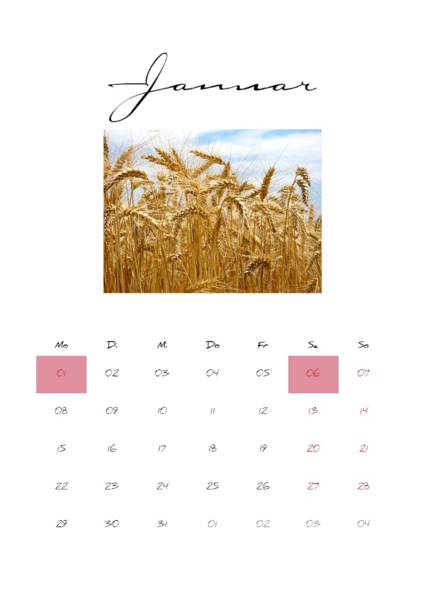 Product preview