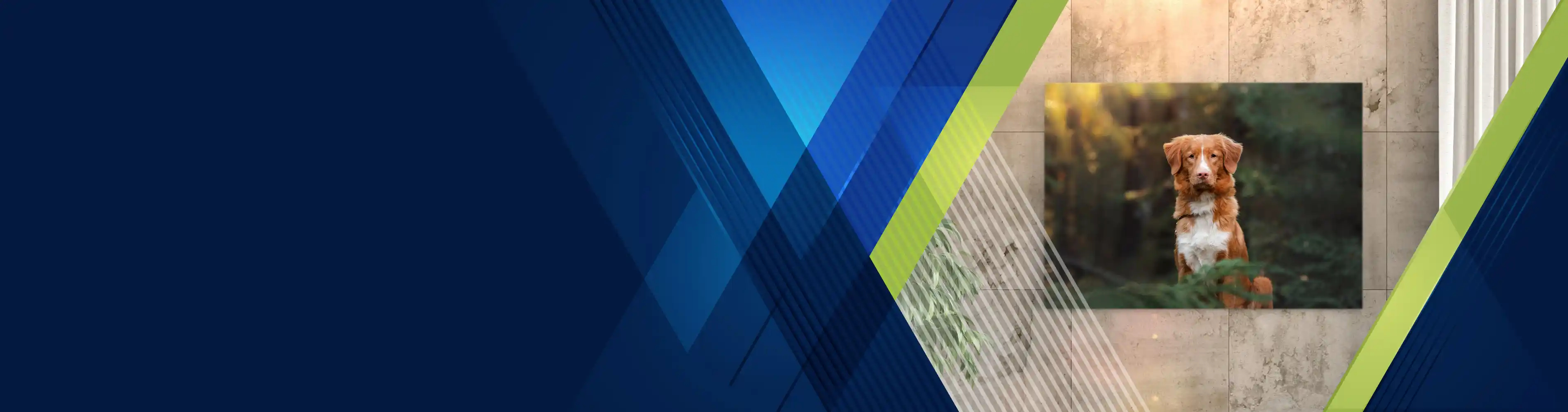 Slider background