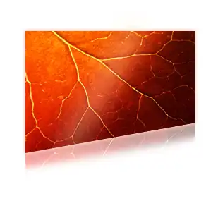 Backlit Folie Full Screen