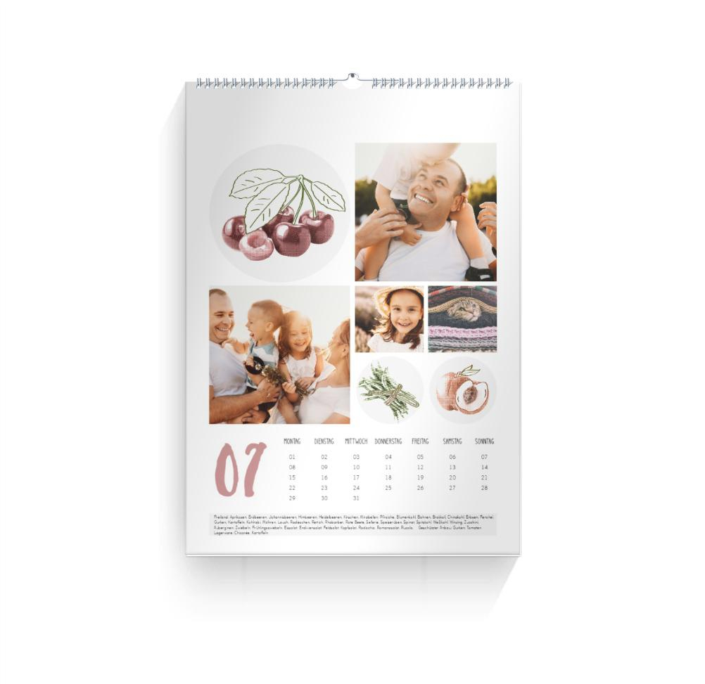 Product preview